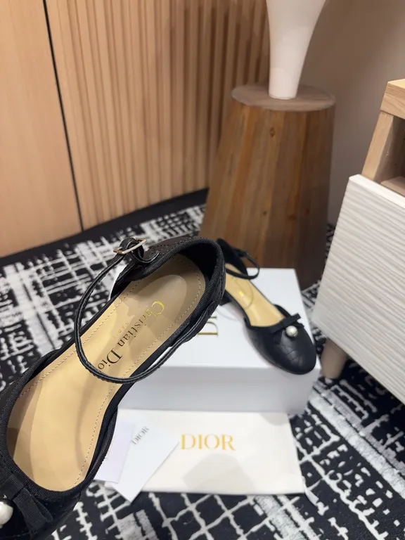 Dior Shoe 